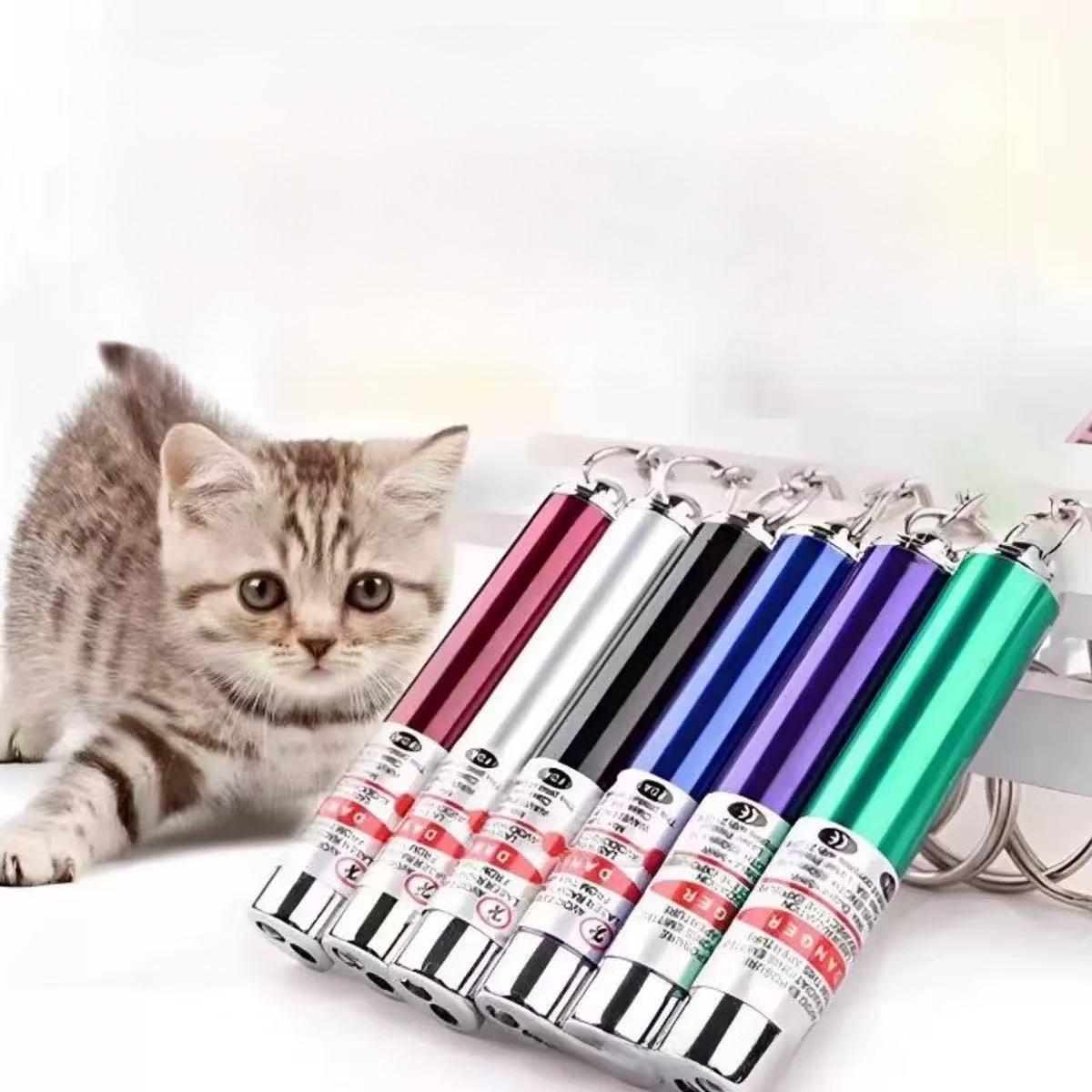 USB Rechargeable Laser Cat Toy