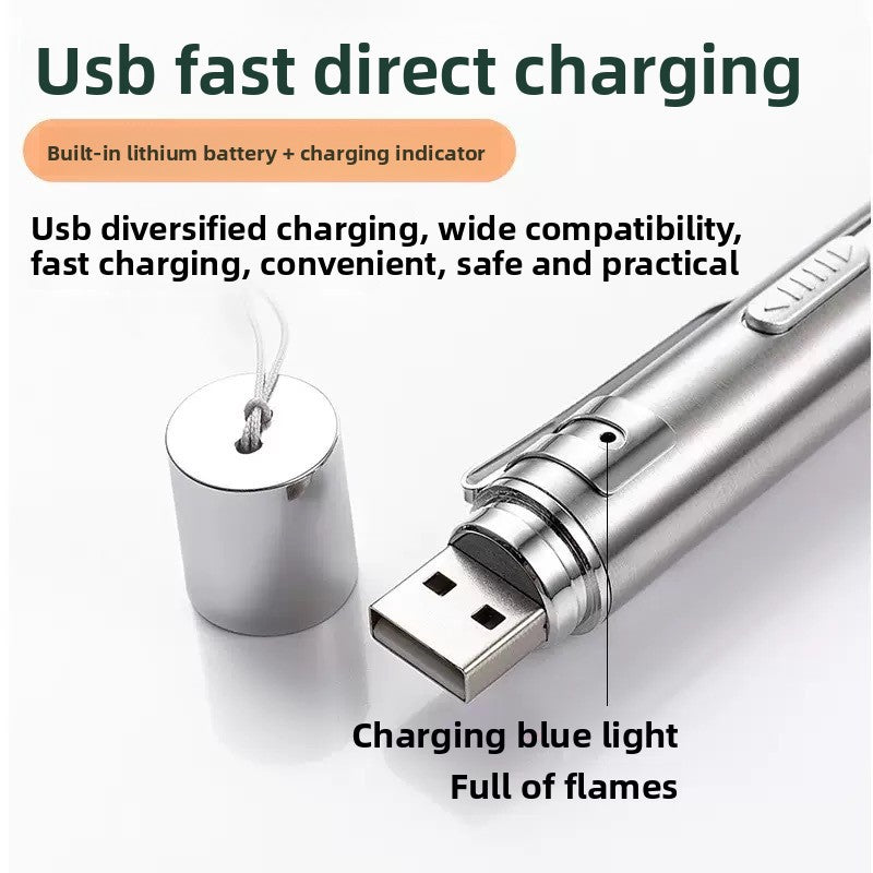 USB Rechargeable Laser Cat Toy