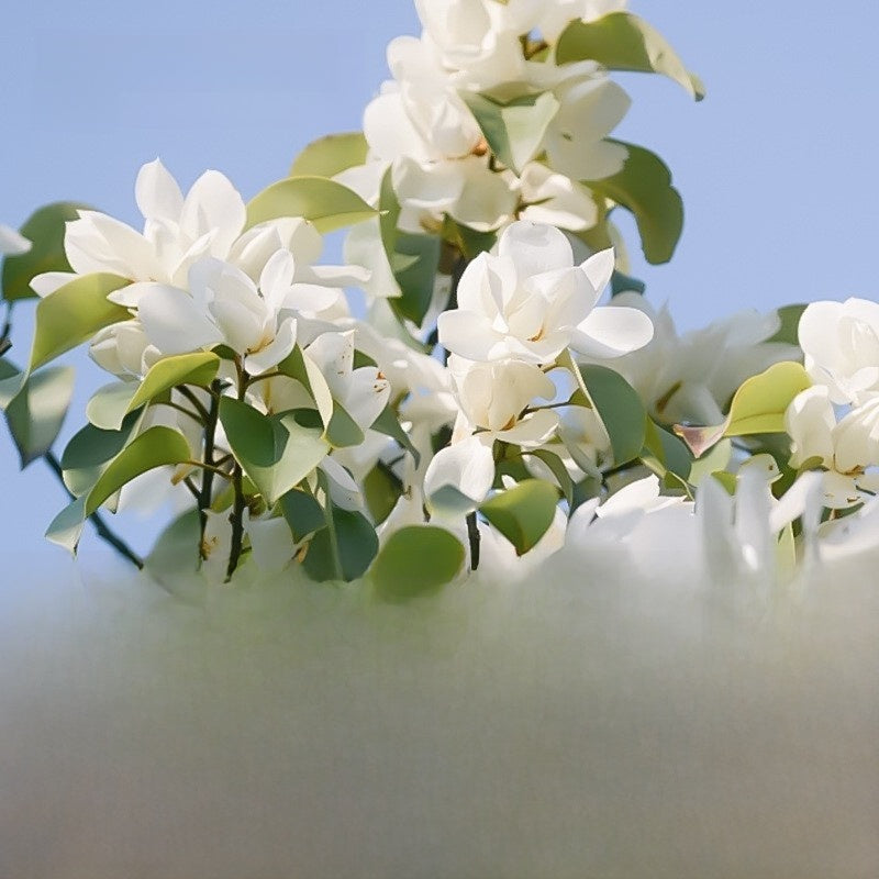 Smart Wireless Car Aromatherapy Machine