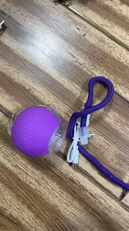 Electric cat toy