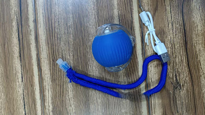 Electric cat toy