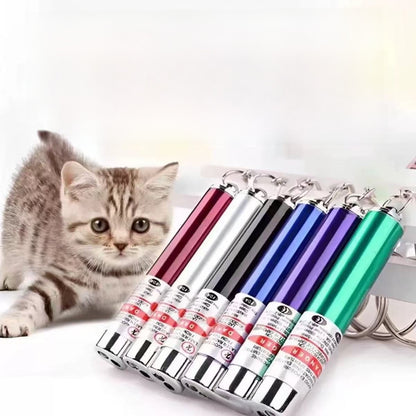 USB Rechargeable Laser Cat Toy