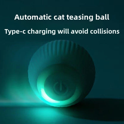 Electric cat toy